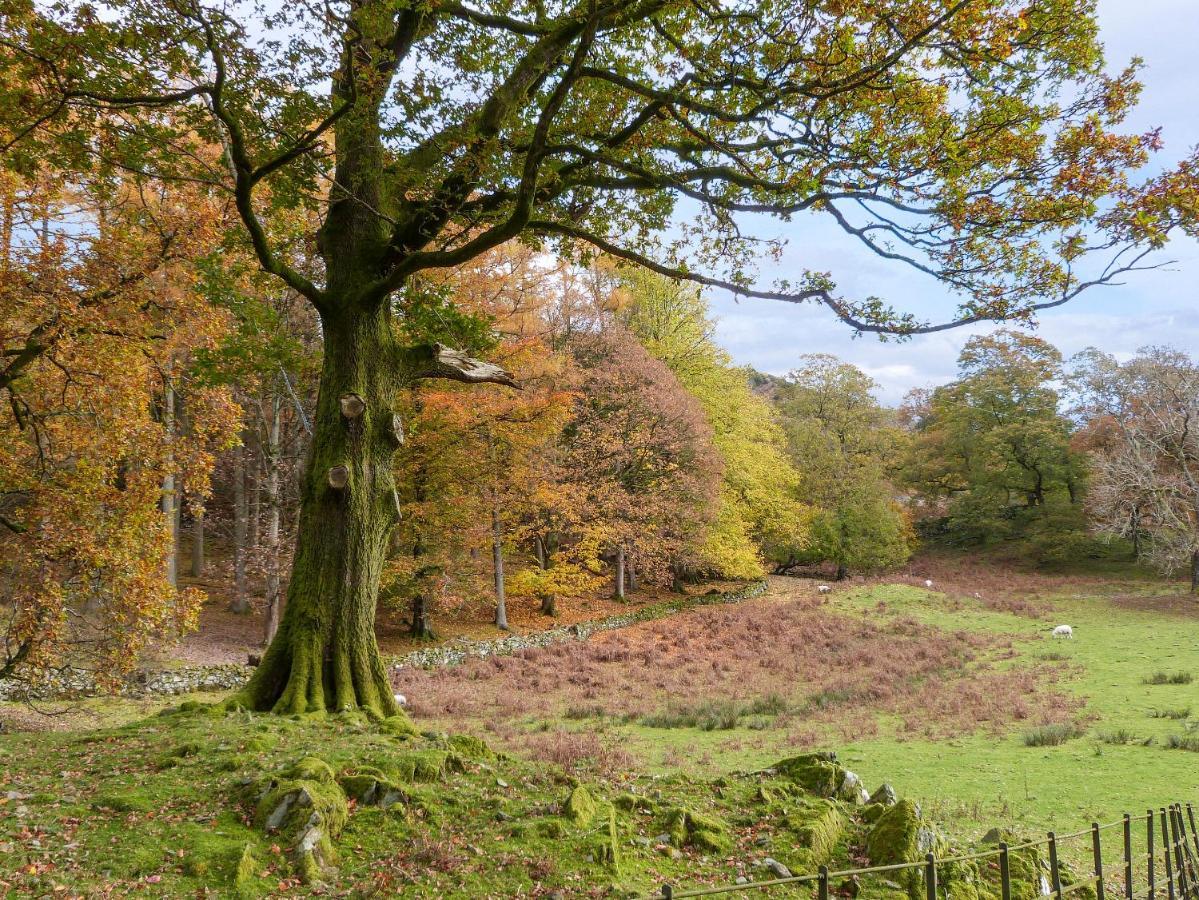 Yew - Woodland Cottages Bowness-on-Windermere Ngoại thất bức ảnh
