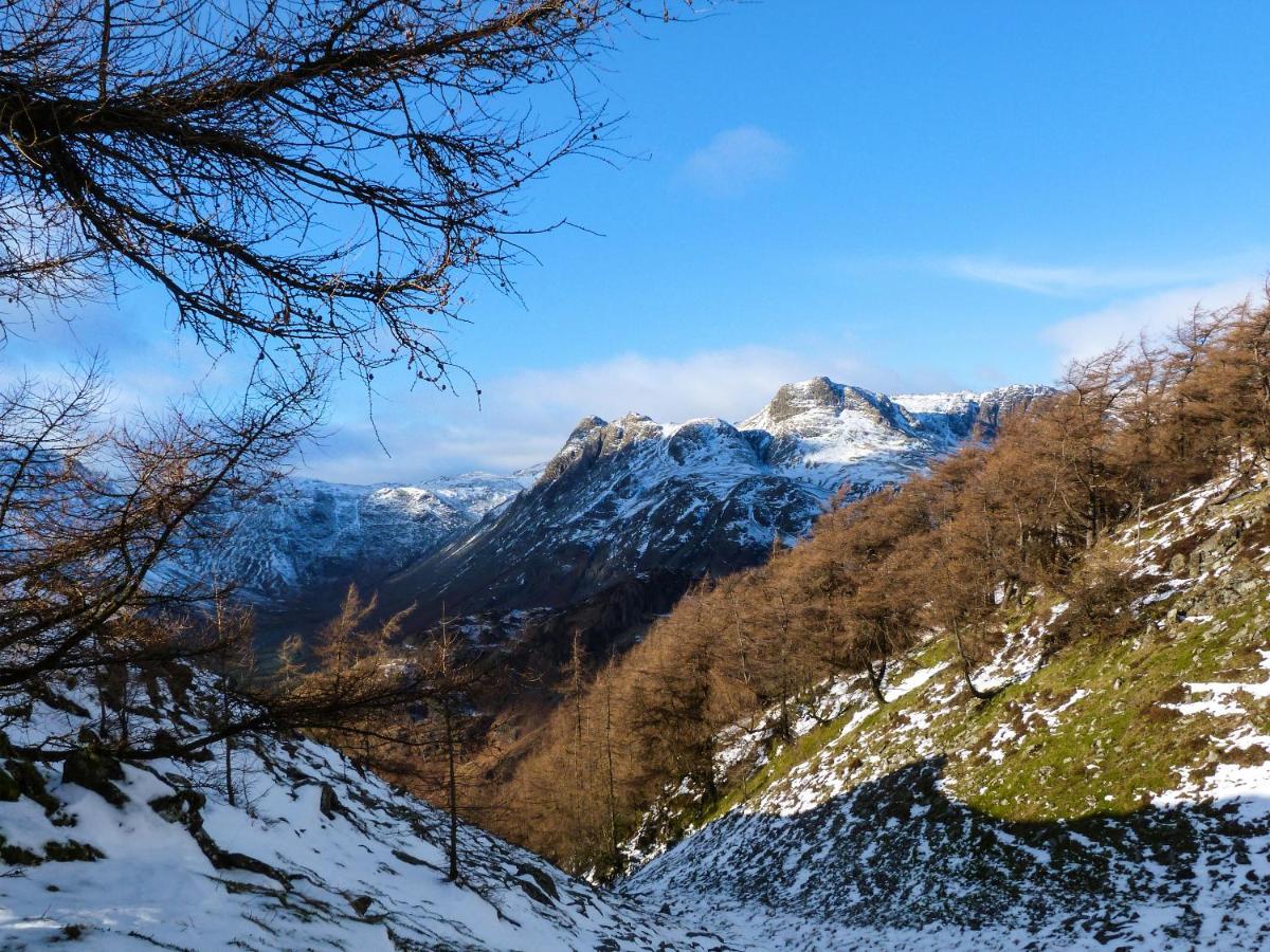 Yew - Woodland Cottages Bowness-on-Windermere Ngoại thất bức ảnh